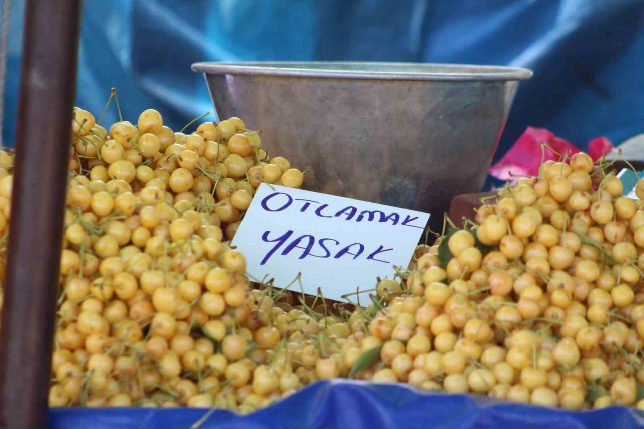 Kiraz Festivali’nde tezgahlardaki ’otlamak yasaktır’ yazısı tepki çekti
