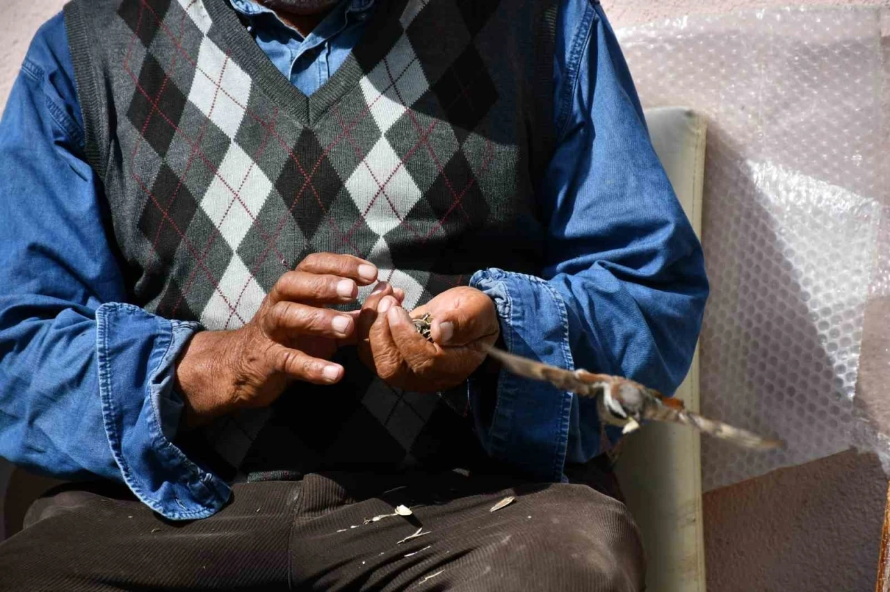 Kırdığı &ccedil;ekirdeklerle kuşlara sofra kuruyor
