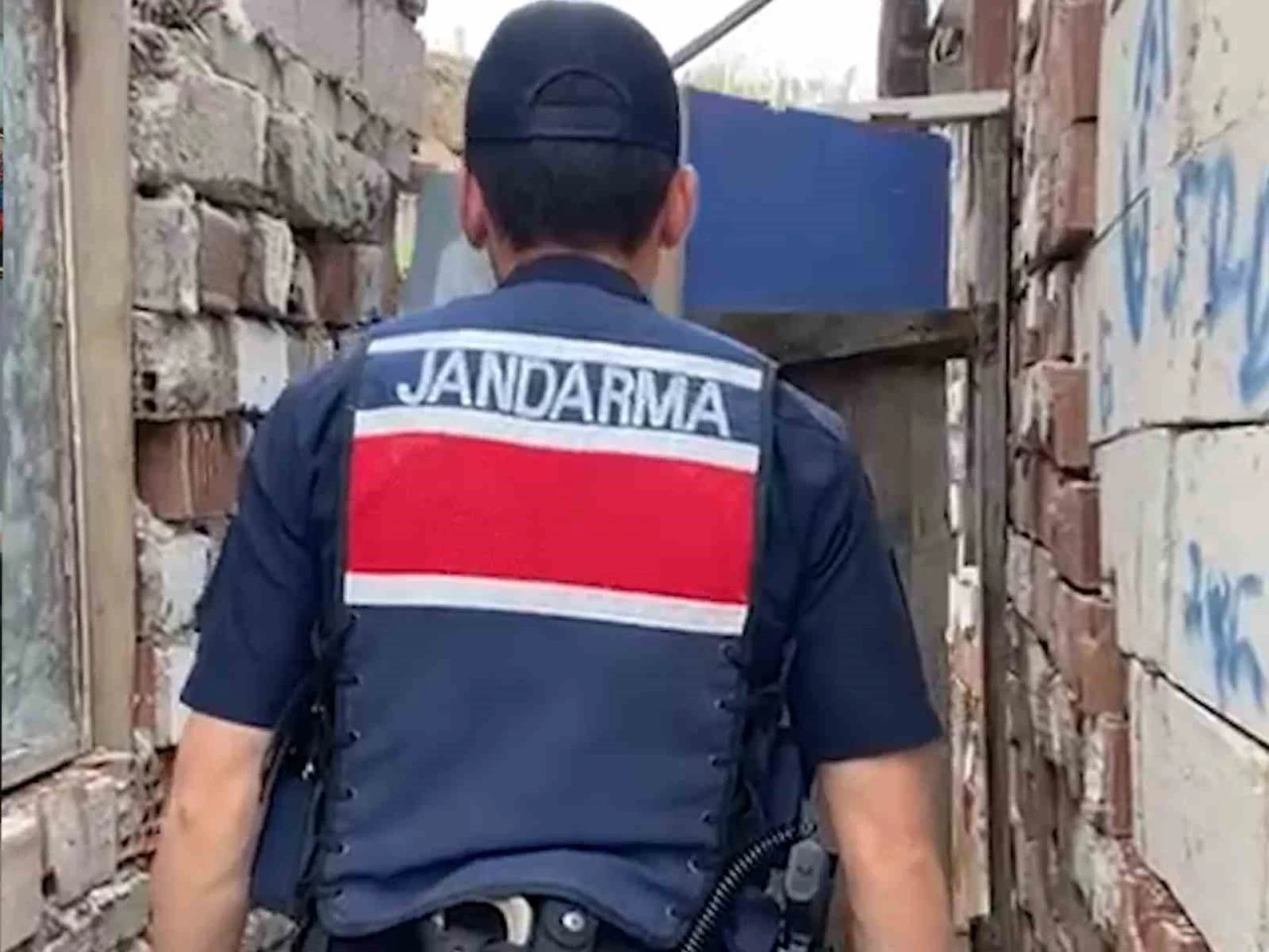 Kırıkkale’de evin bahçesinde bin 53 kök kenevir ele geçirildi: 2 gözaltı
