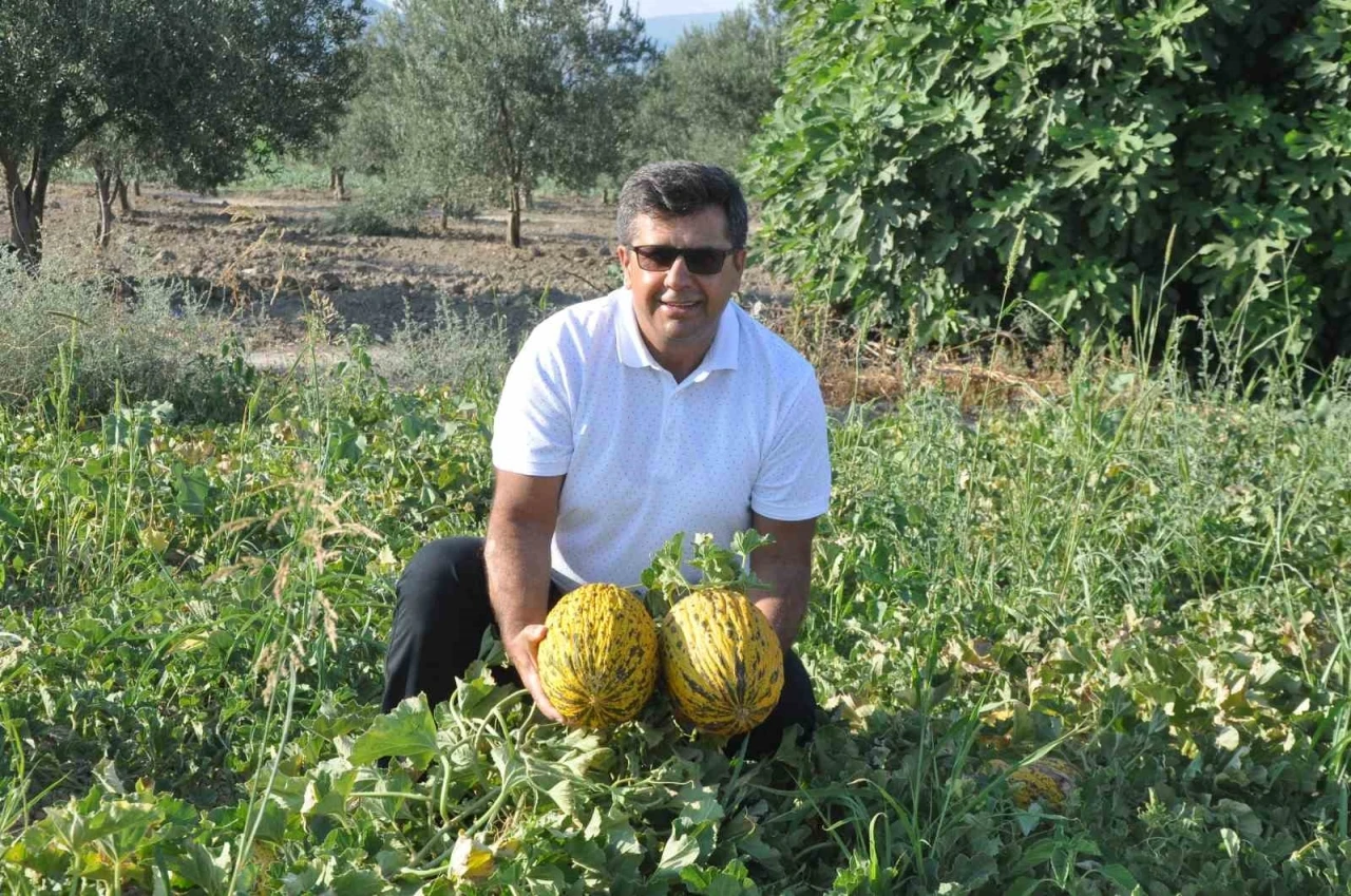 Kırkağaç Kavunu AB’den tescil alan 38. ürün oldu
