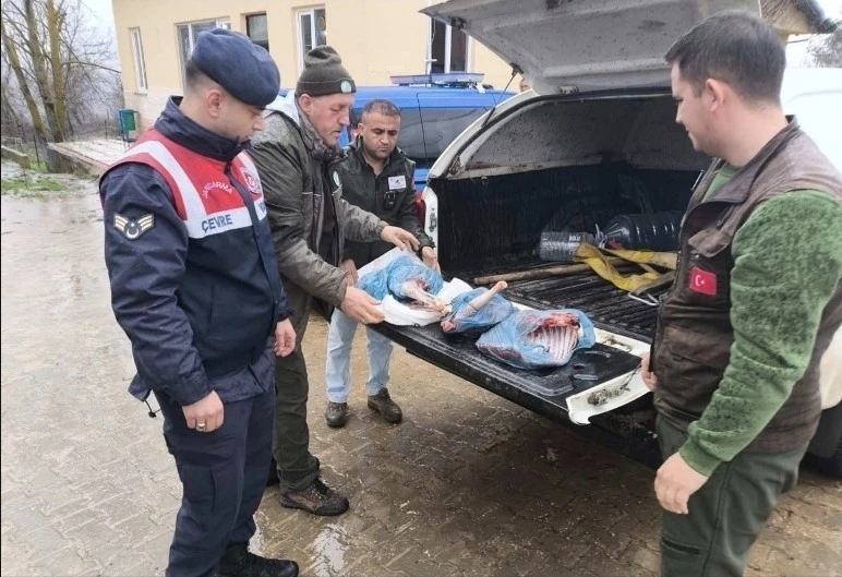 Kırklareli&rsquo;de yasa dışı karaca avına ağır ceza
