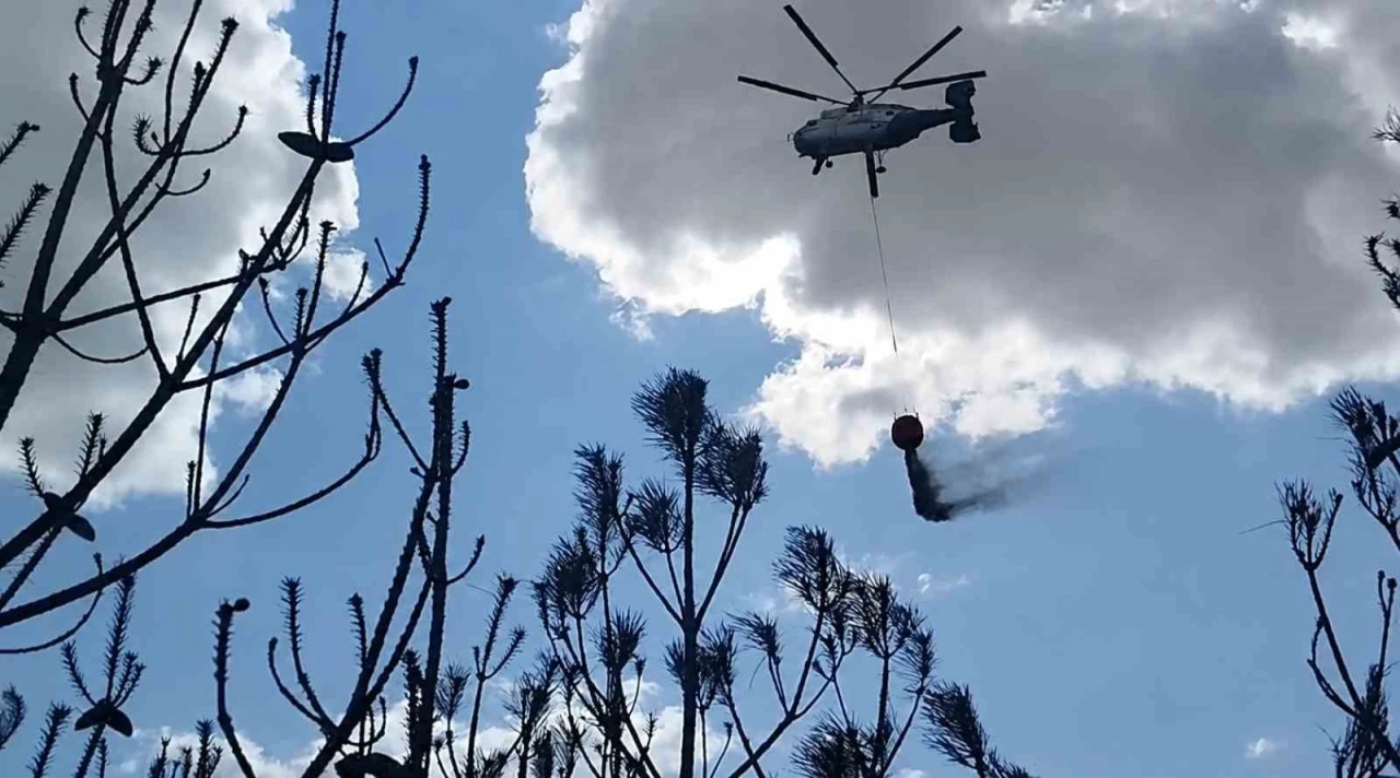 Kırklareli&rsquo;deki orman yangını s&ouml;nd&uuml;r&uuml;ld&uuml;: 35 dekar alan zarar g&ouml;rd&uuml;
