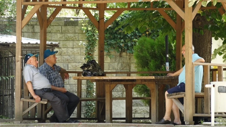 Kırklareli’nde sıcak hava etkili oluyor: Termometreler 40 dereceyi gösterdi