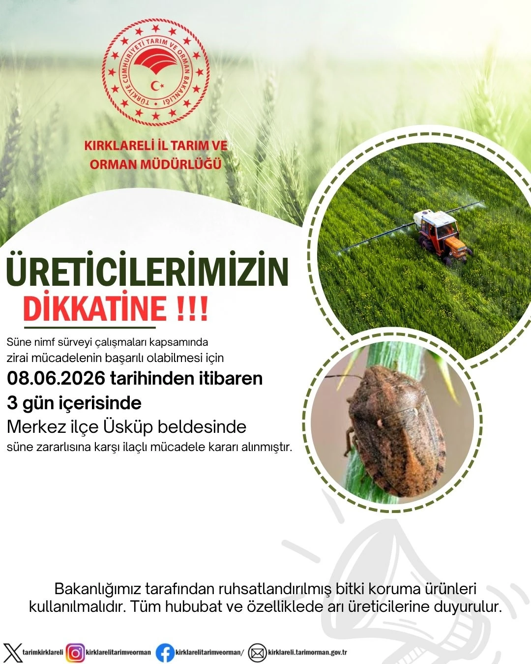 Kırklareli’nde süne alarmı: Üreticilere 3 günlük ilaçlama ça