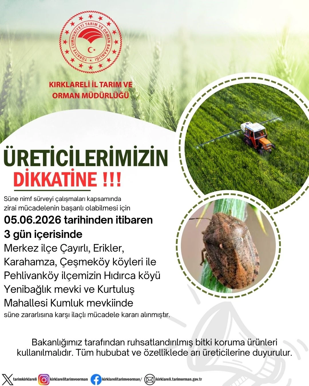 Kırklareli&rsquo;nde s&uuml;ne zararlısına karşı ila&ccedil;lı m&uuml;cadele kararı
