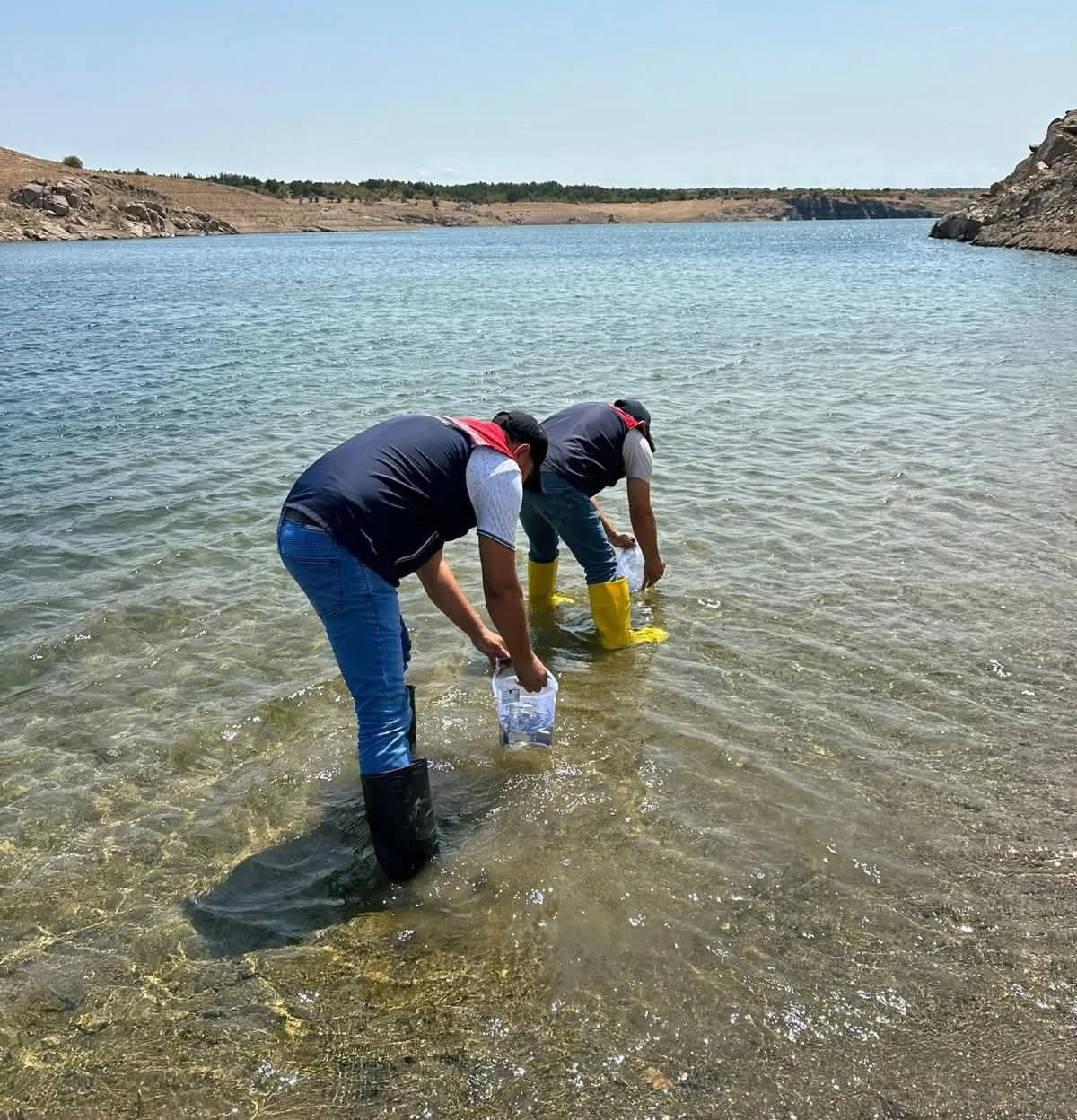 Kırklareli’ndeki göletlere 1 milyon 844 bin sazan yavrusu bırakıldı
