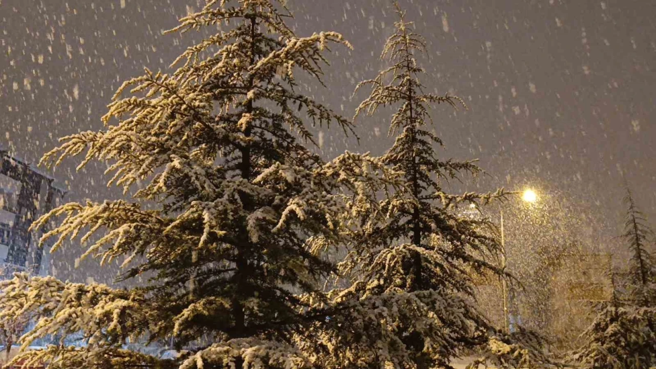 Kırşehir&rsquo;de gece saatlerinde lapa lapa kar yağışı başladı
