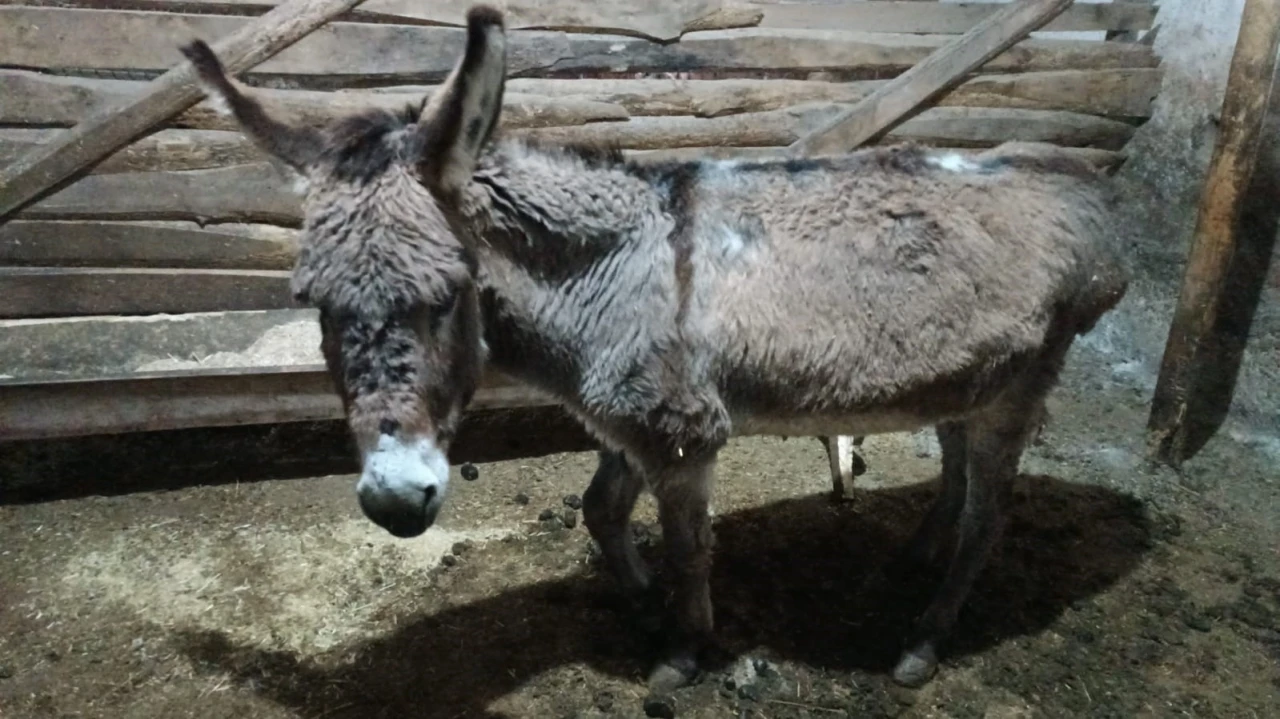 Kırşehirli k&ouml;yl&uuml;den vicdanlara dokunan hareket
