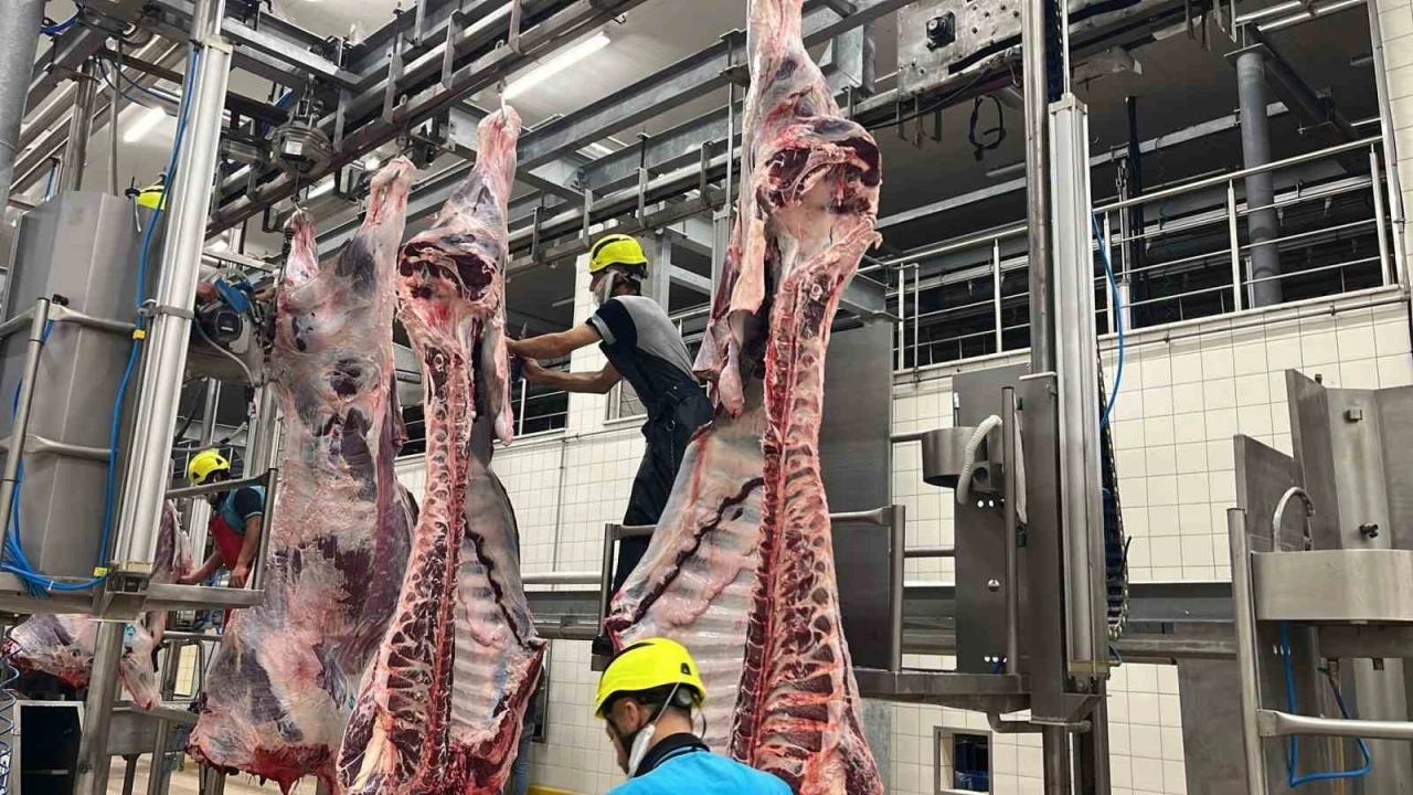 Kist hidatik riskine karşı sakatat uyarısı
