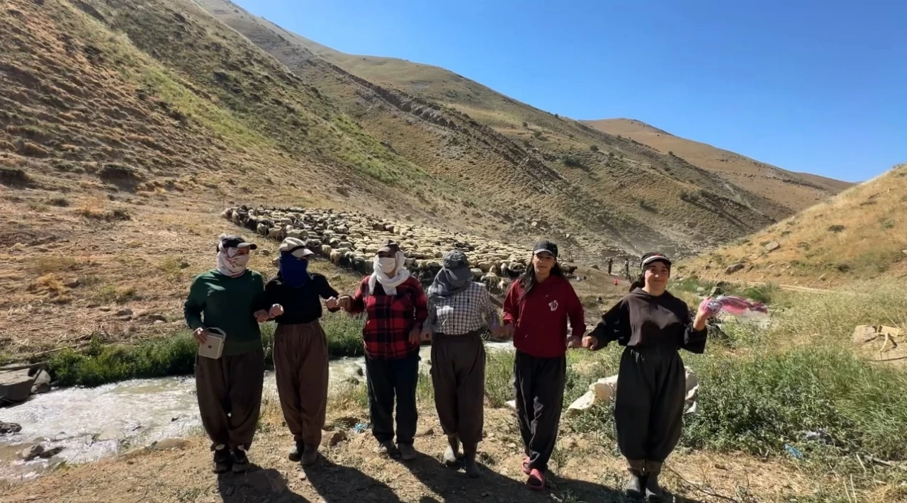Kızgın g&uuml;neş atında halaylı s&uuml;t mesaisi: Berivanlar bakanlıktan g&ouml;lgelik istiyor
