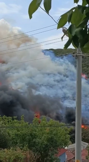 Kocaeli’de ağaçlık alanda yangın çıktı