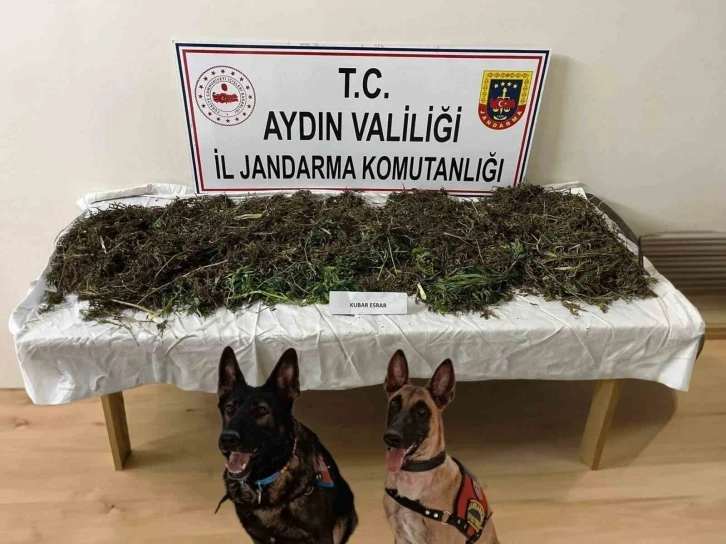 Ko&ccedil;arlı&rsquo;da uyuşturucu operasyonu: 2 tutuklama
