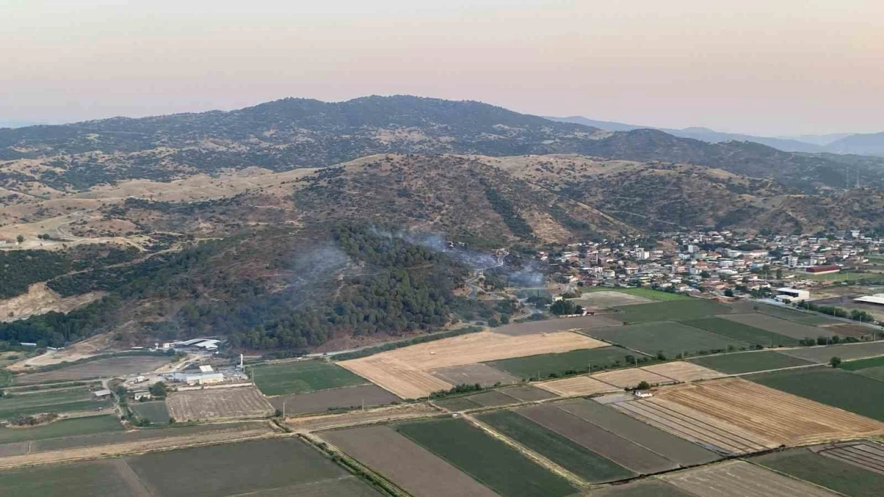 Koçarlı’daki orman yangını kontrol altına alındı
