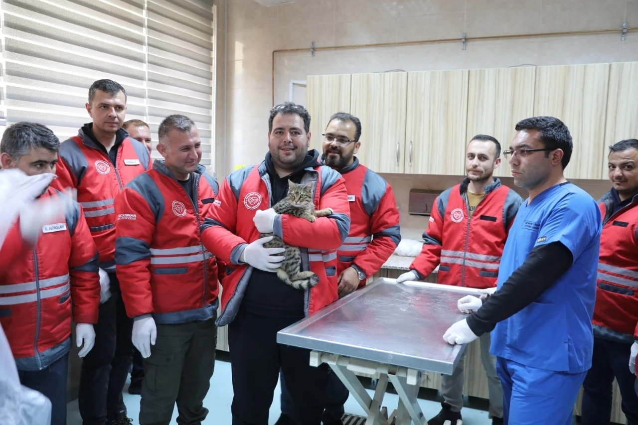 Kocasinan Belediyesi’nden veterinerlik personeline sertifikalı eğitim
