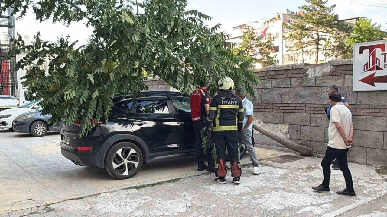 K&ouml;k&uuml; duvarın altında olan ağa&ccedil; aracın &uuml;zerine devrildi

