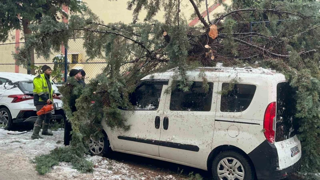 K&ouml;k&uuml;nden s&ouml;k&uuml;len ağa&ccedil; park halindeki aracın &uuml;zerine devrildi
