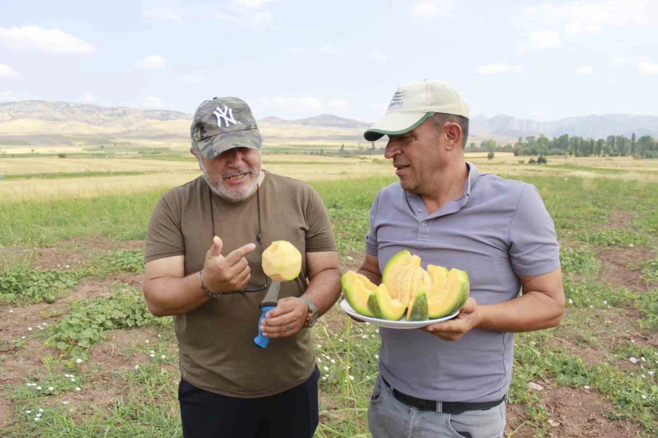 Kokusu, lezzeti, rengiyle farklı bağrıbütün hasadı başladı
