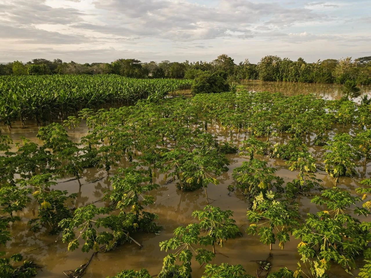 Kolombiya&rsquo;da &uuml;lke genelindeki sellerde 6 kişi hayatını kaybetti
