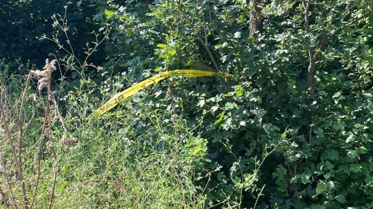 Komşusunu &ouml;ld&uuml;ren sanığa m&uuml;ebbet hapis talebi
