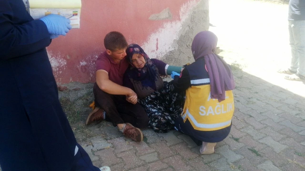 Komşusunun odunluğunun yanışını gören yaşlı kadın panikleyip baygınlık geçirdi