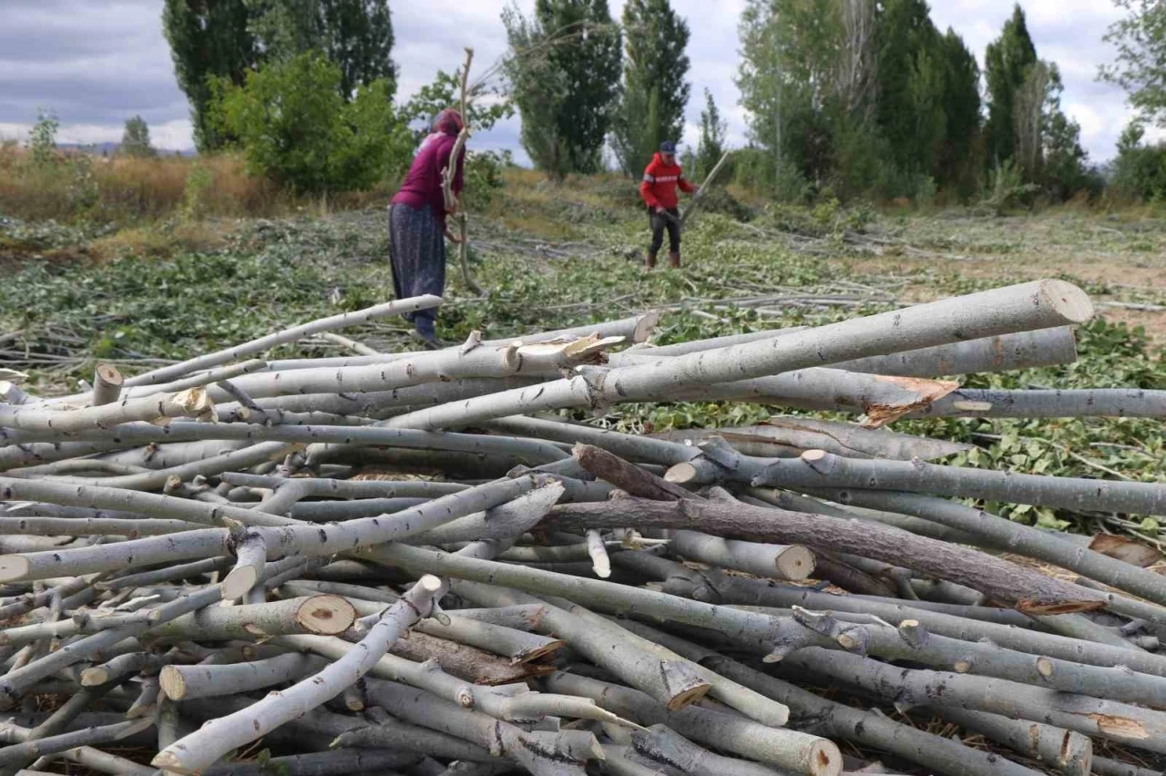 K&ouml;m&uuml;r pahalı, odun umut: Erzincan kırsalında kış mesaisi
