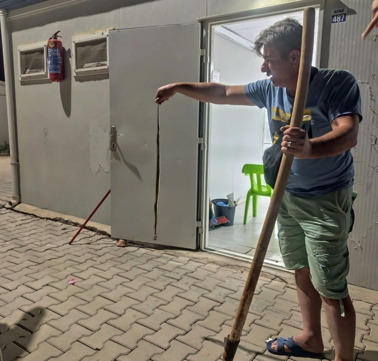 Konteynere giren yılan paniğe neden oldu
