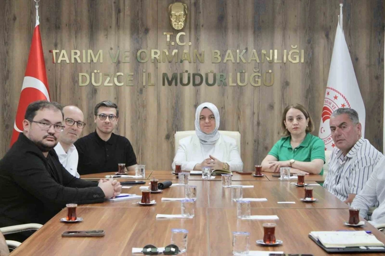 Konuralp pirinci ve D&uuml;zce kestane kabağı market raflarına taşınıyor
