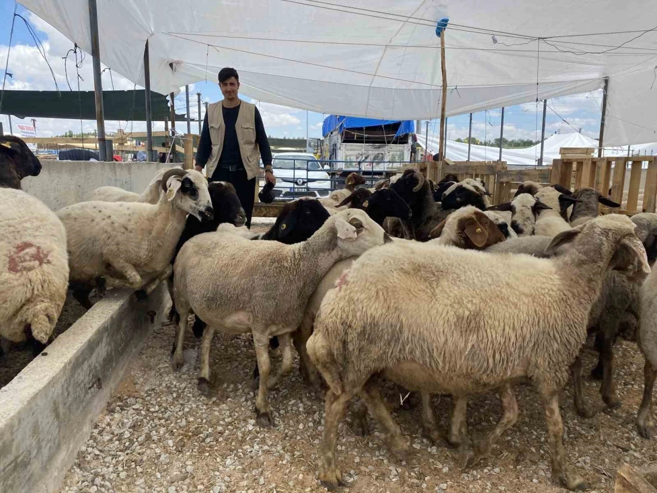 Konya’da kurban satıcıları yarını bekliyor

