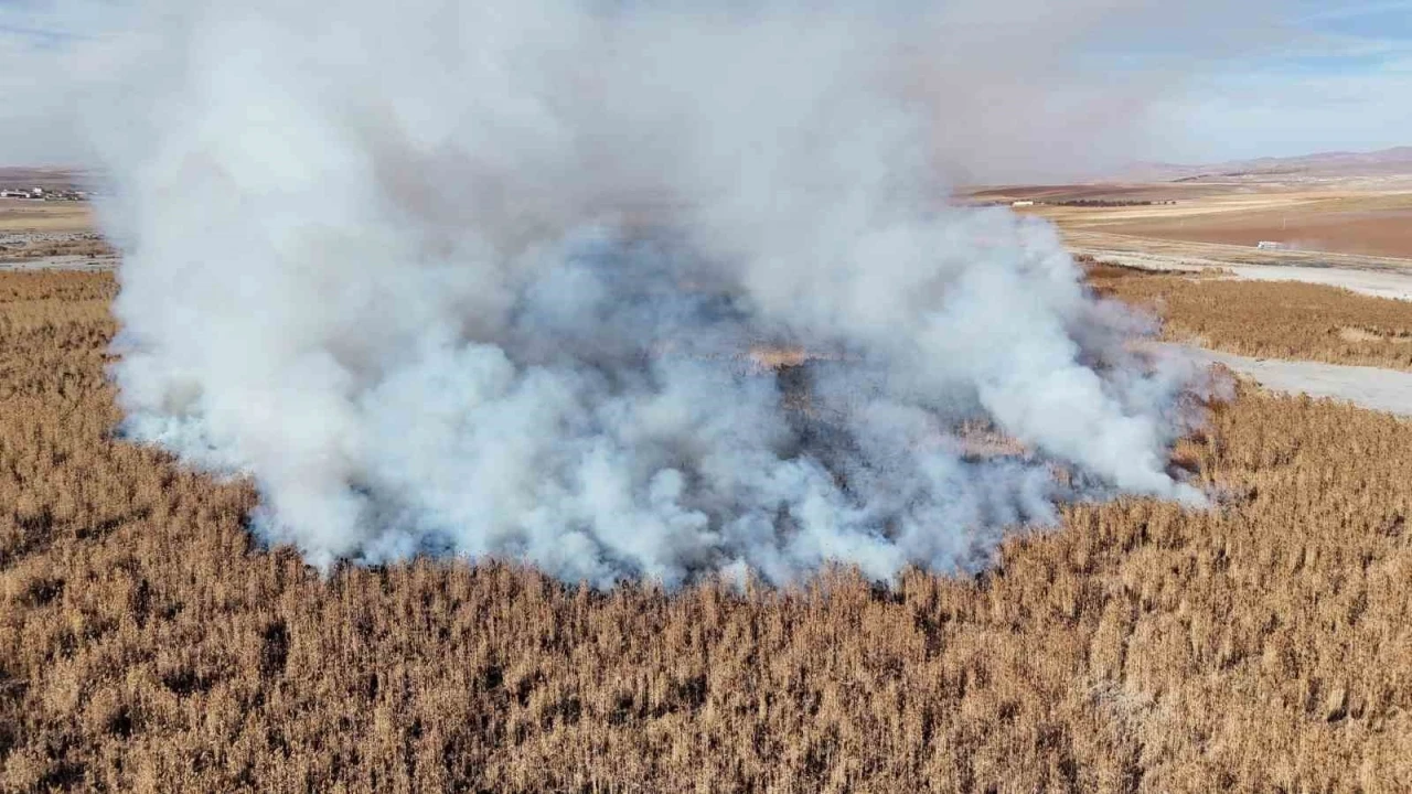 Konya’da sazlık alanda yangını
