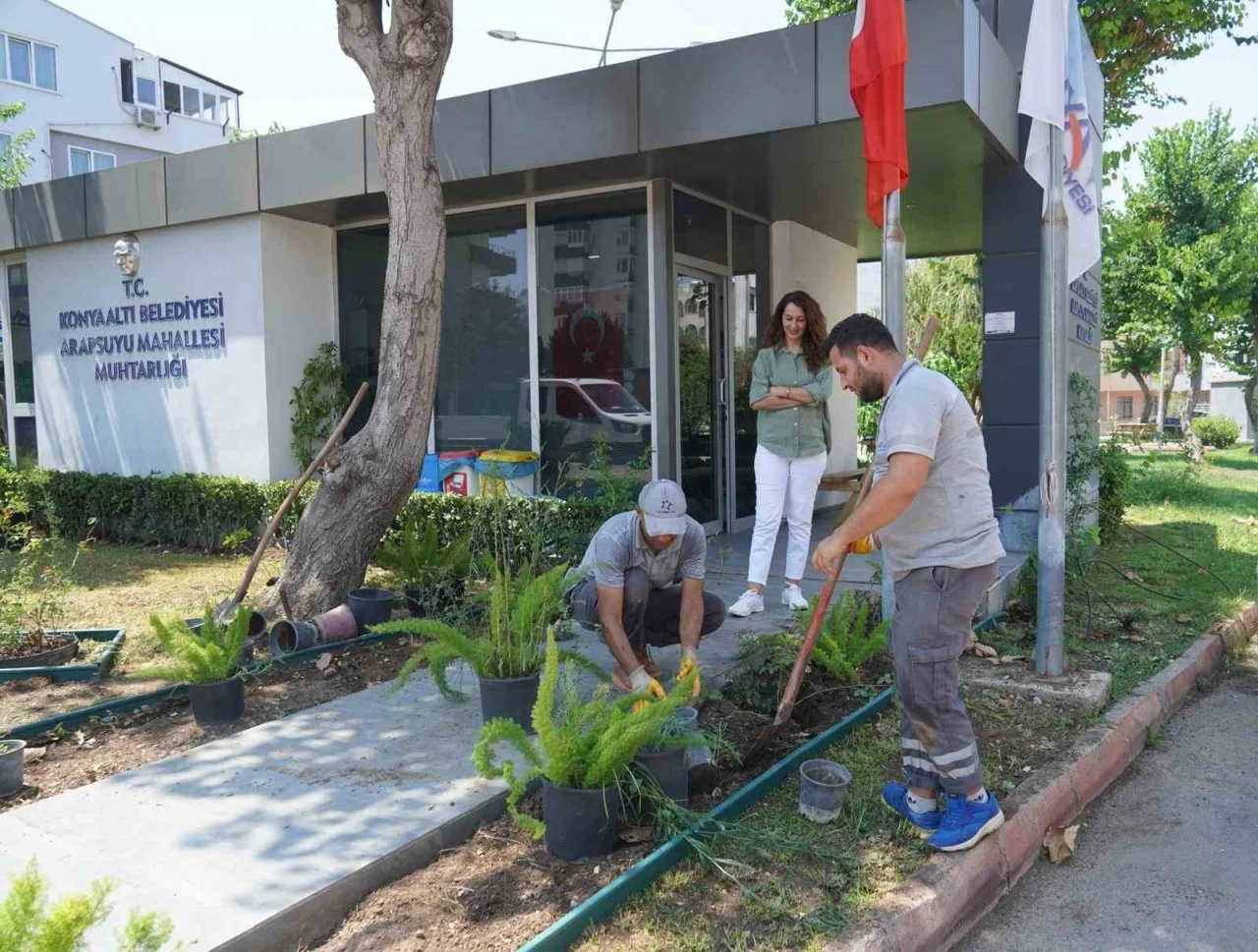 Konyaaltı’nda muhtarlık binaları çiçeklendiriliyor
