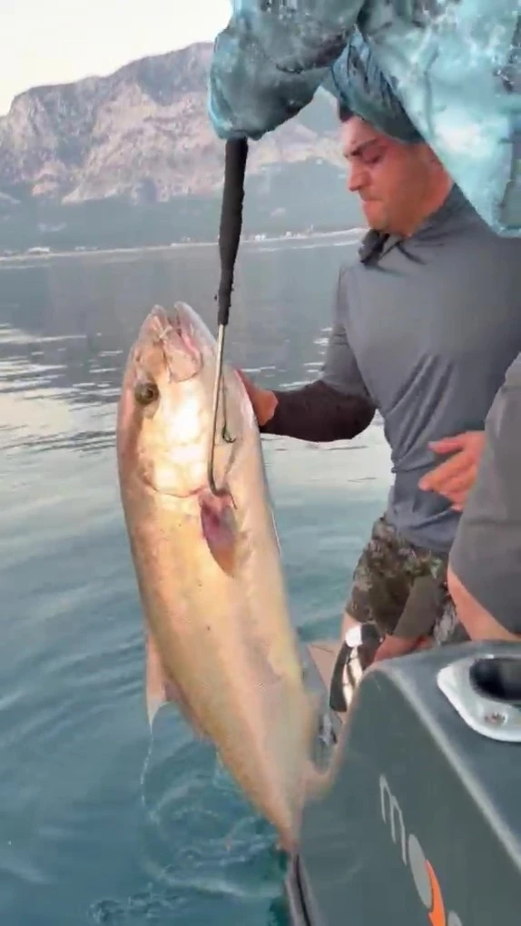 Konyaaltı Sahili&rsquo;nde 56 kilogramlık kuzu balığı şaşkınlığı
