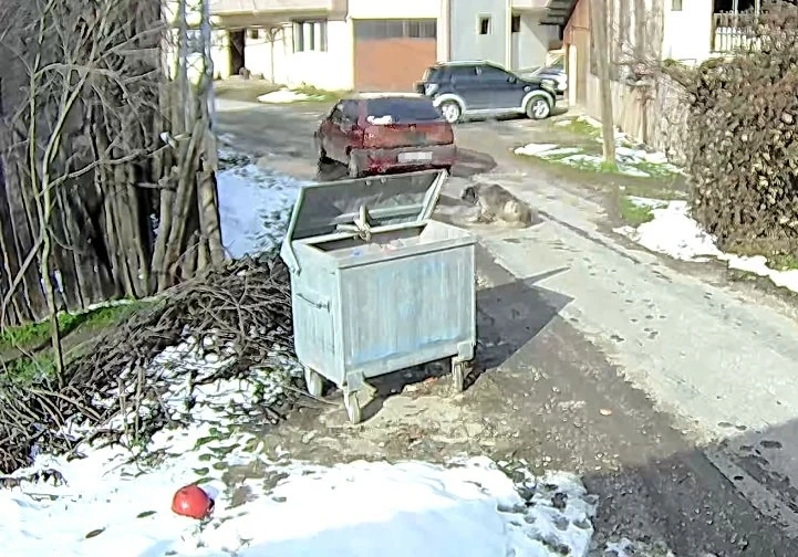 K&ouml;peği ezen s&uuml;r&uuml;c&uuml; yakalandı
