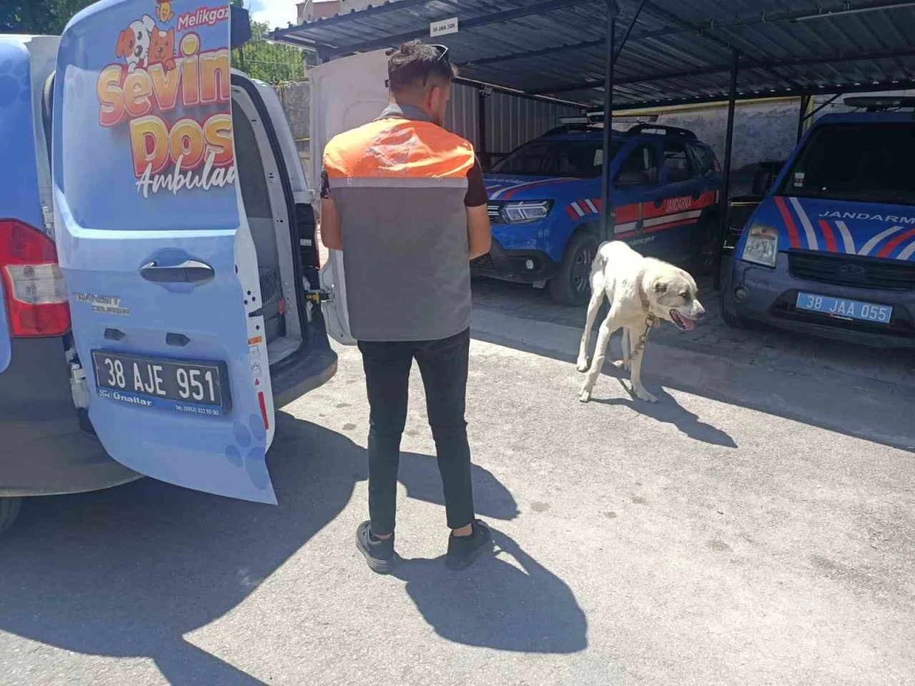 Köpeği otomobile bağlayarak çektiren şahsa ceza
