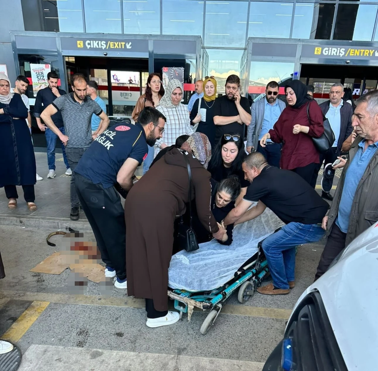 K&ouml;peğin saldırdığı kadın yaralandı

