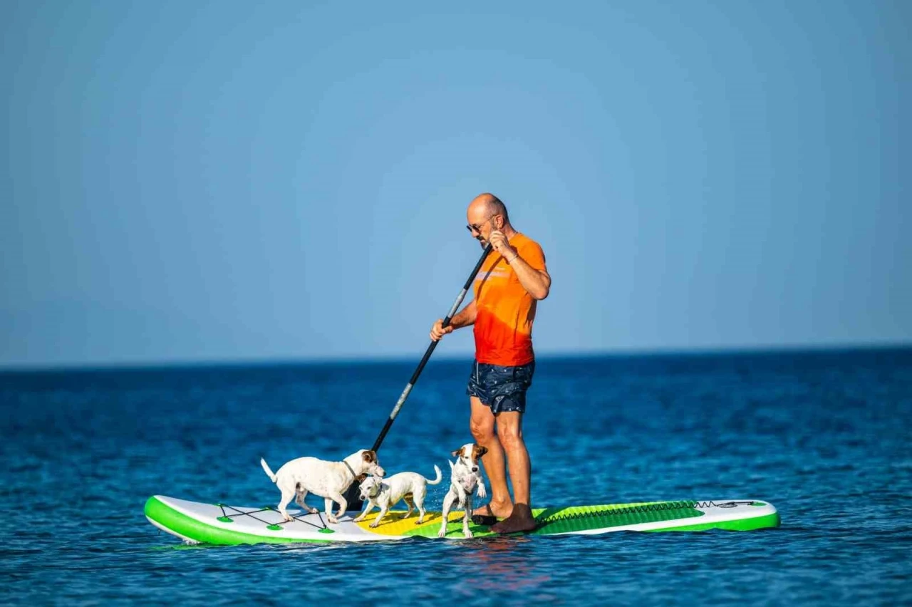 Köpekleriyle deniz keyfi
