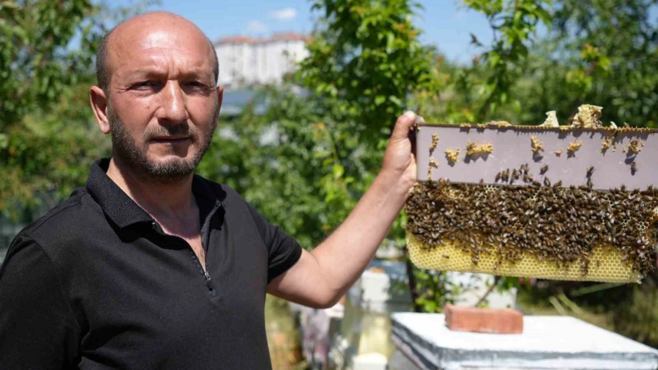 Korkmadan temas edebildiği arılarla 5 senedir birlikte yaşıyor
