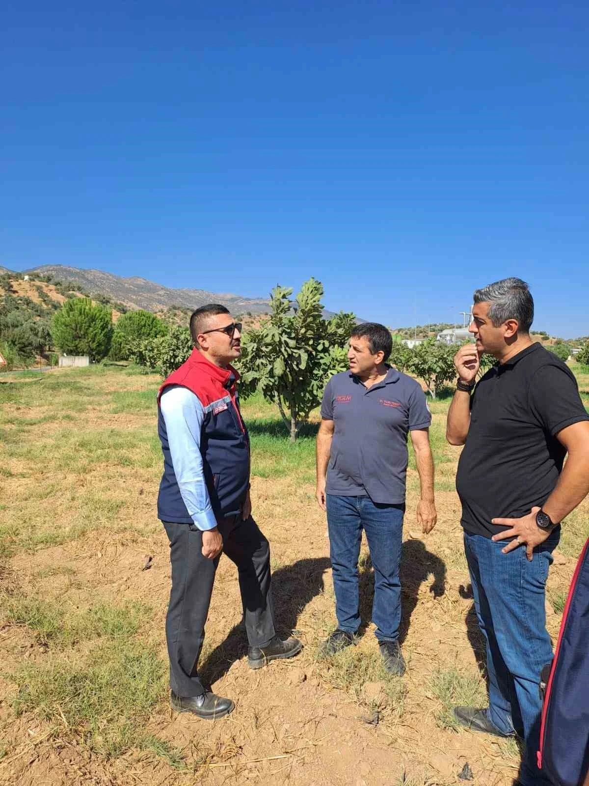 Köşk’te tarımsal zararlılarla mücadele için sahaya indiler
