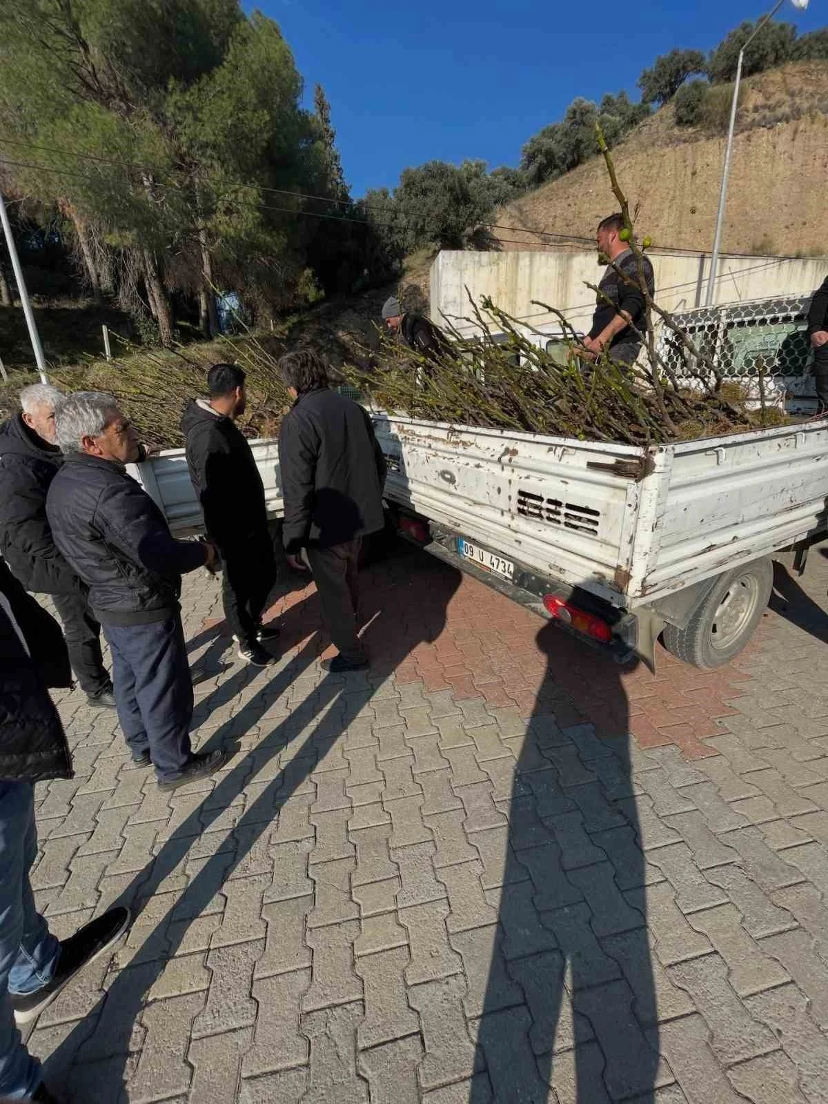 K&ouml;şk&rsquo;te &uuml;reticiye t&uuml;pl&uuml; incir fidanı desteği
