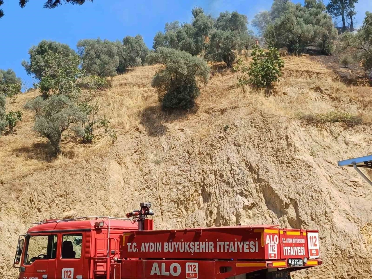 Köşk’teki zirai alan yangını kontrol altına alındı

