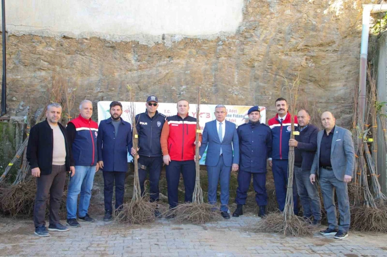 Köşklü üreticilere kestane fidanı dağıtıldı
