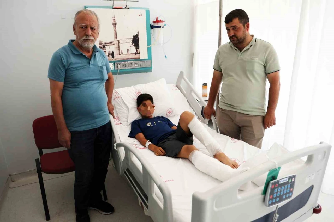 Köyceğiz’de köpek saldırısına uğrayan çocuğun ailesi konuştu
