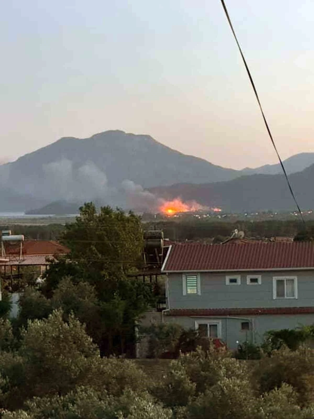 Köyceğiz’de sazlık alanda yangın çıktı
