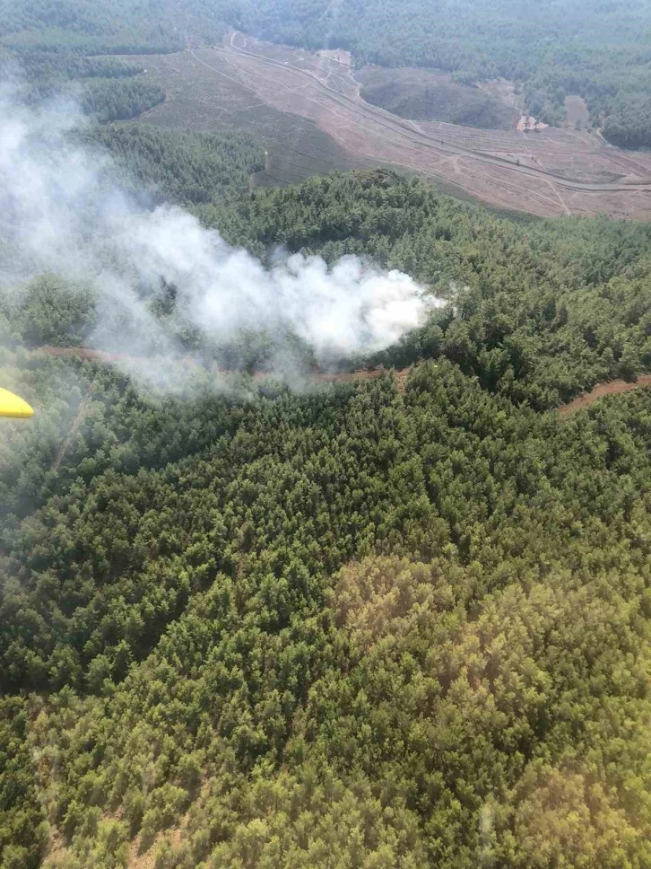 K&ouml;yceğiz&rsquo;deki orman yangını s&ouml;nd&uuml;r&uuml;ld&uuml;
