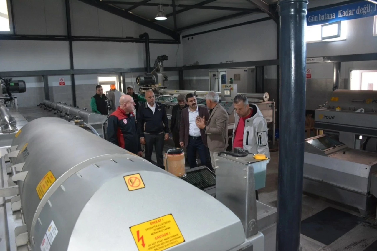 K&ouml;yceğiz Kaymakamı Kumcu, zeytinyağı fabrikasında inceleme yaptı
