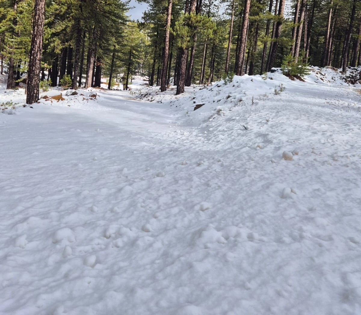 K&ouml;yceğiz Sandras Dağı karla kaplandı
