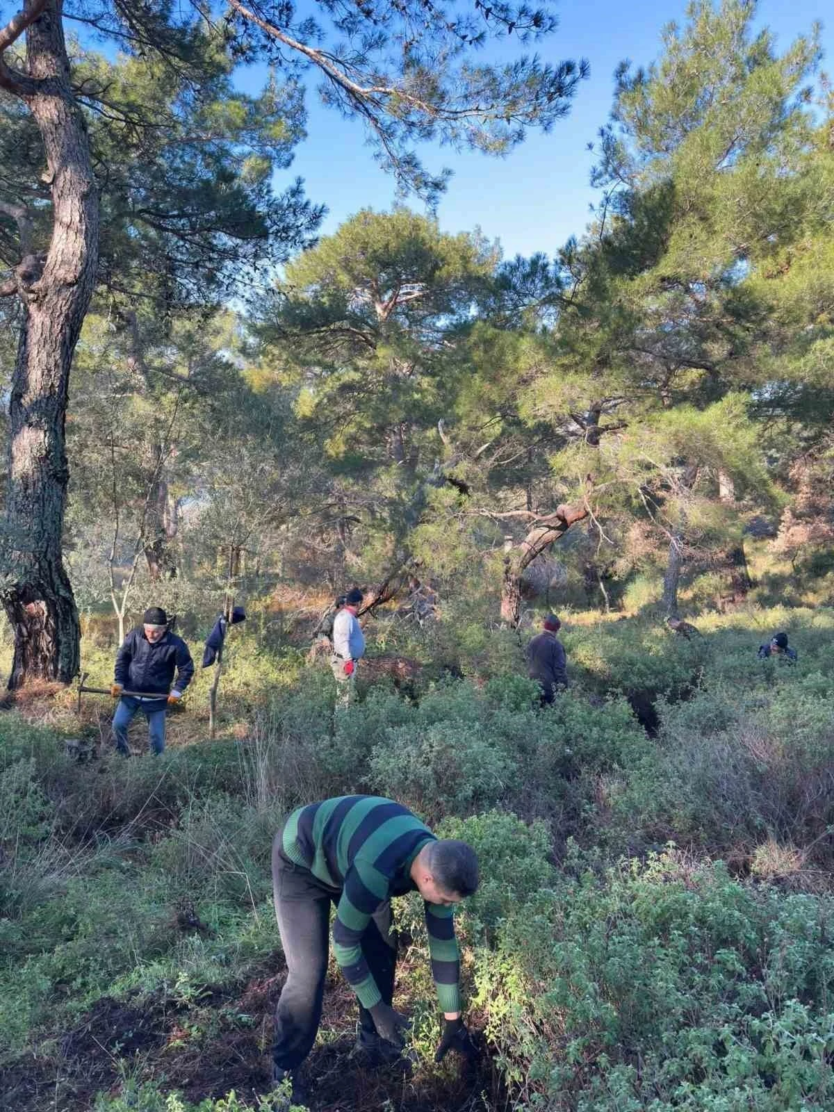 K&ouml;yl&uuml;lerden imece usul&uuml; temizlik etkinliği
