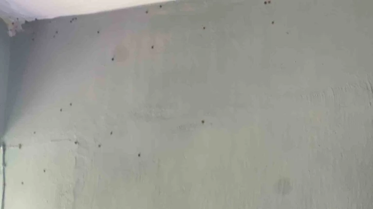 K&ouml;y&uuml; uğur b&ouml;cekleri bastı, vatandaş ne yapacağını şaşırdı
