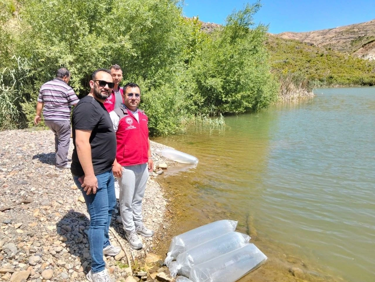 Kozağaç Baraj Gölü’ne 40 bin sazan yavrusu bırakıldı
