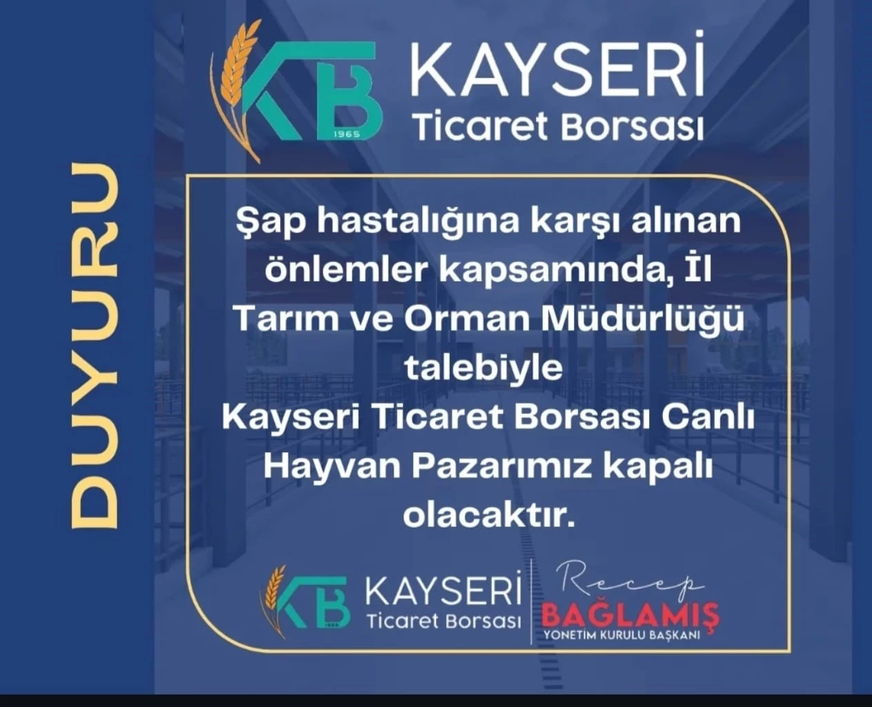 KTB Canlı Hayvan Pazarı’nda ’şap hastalığı’ önlemi
