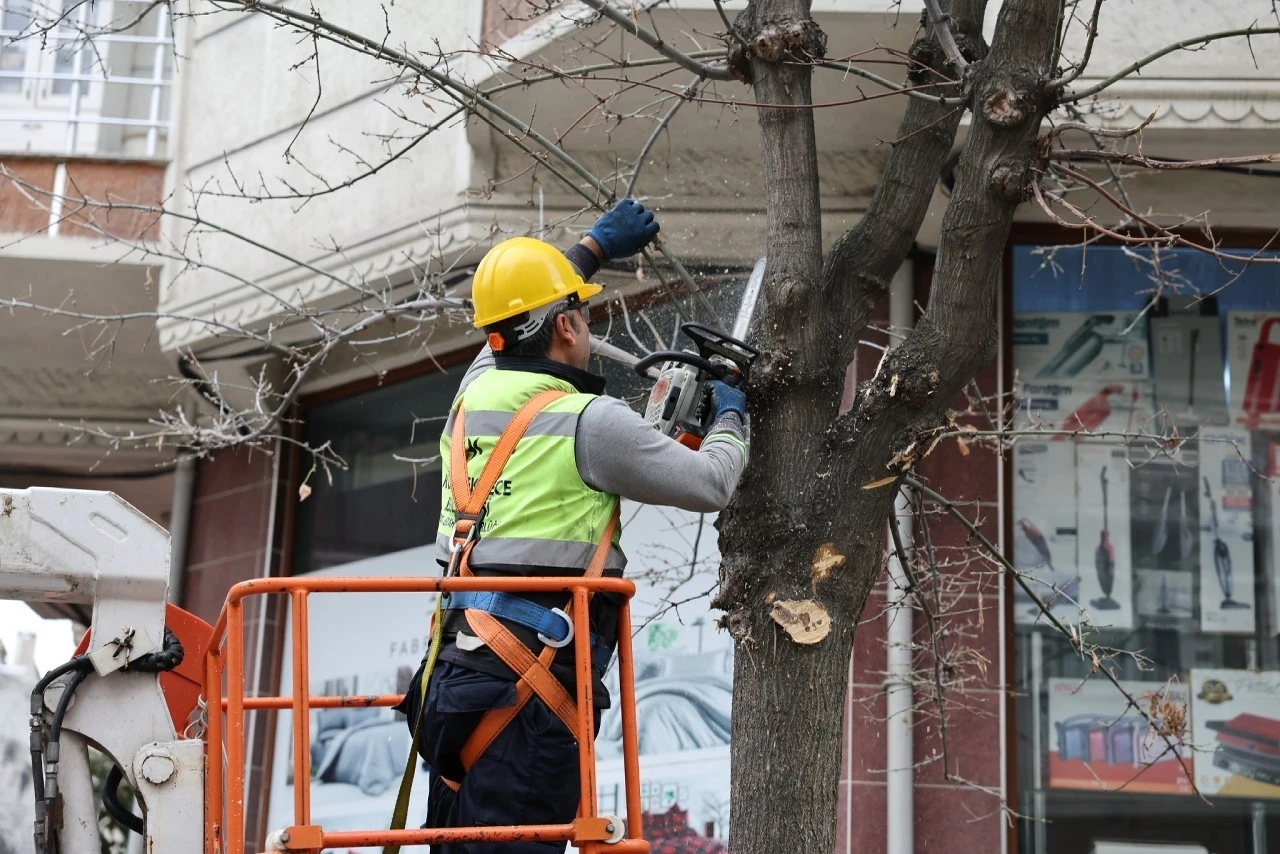 K&uuml;&ccedil;&uuml;k&ccedil;ekmece&rsquo;de budanan ağa&ccedil;lar, ihtiya&ccedil; sahiplerine yakacak oluyor
